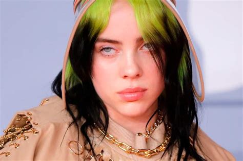 billie eilish fake designer clothes|billie eilish controversies.